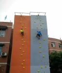 Adult Age Artificial Chinese Manufacture Kids Rock Climbing Holds