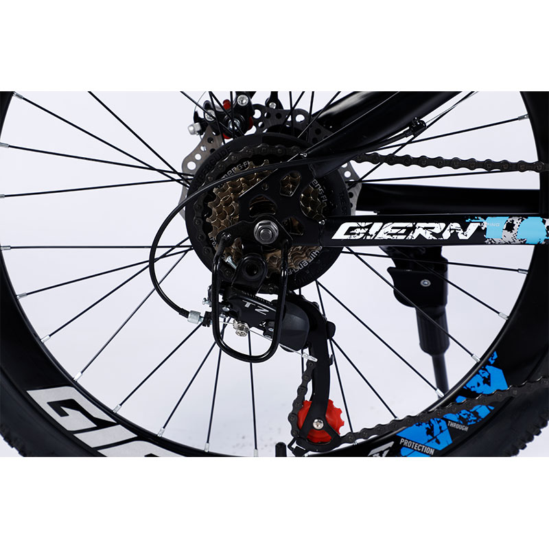 Affordable Mountain Bicycle with Sus Fokr Cp Crown and Tongli Michanical Disc Brake