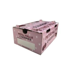 Quality Fruit And Vegetable Disposable Picnic Box Of Shipping By Air wholesale