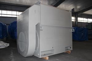 Quality 6kV IP54 HV Three Phase AC Motor 1485 RPM AC Asynchronous Motor wholesale