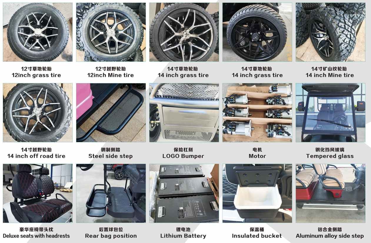 CE Lithium Battery Electric Touring Car With Self Adjusting Rack Pinion Steer System