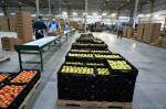 Agricultural Steel Framed Buildings , C Section Steel Structure Shed
