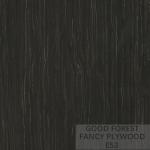 Furniture / Doors Fancy Plywood Board Panel Fancy Plywood Creative