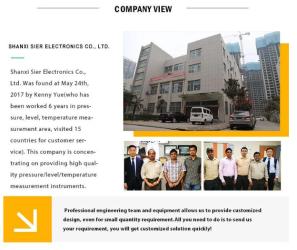 Shaanxi Sier Electronics Co., Ltd.