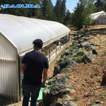 Fully Automatic Light Deprivation Curtain Blackout System Greenhouse