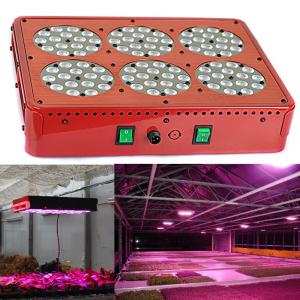 Quality Indoor Culture 630nm led grow light 210Watt led growing light for tomato vegetables wholesale