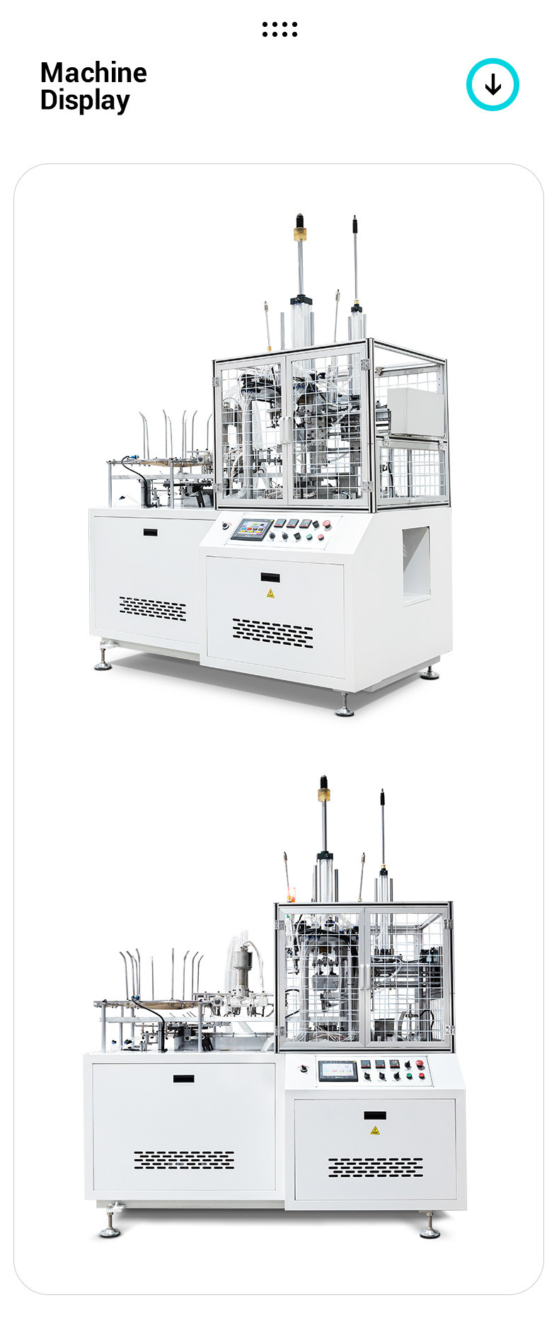 Two Compartments PE Coated Paper Lunch Box Forming Machine Automatic