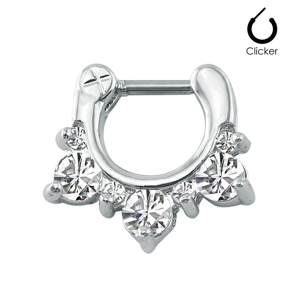 16G Nose Piercing Ring Indian Nose Septum Ring Clicker Nose Rings Piercing Body Jewelry Hoops Helix Piercing Ear Cartila