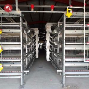 Quality 5000 Birds Broiler Poultry Cage Farm Hot Dip Galvanized Battery H Frame Farm Chicken wholesale