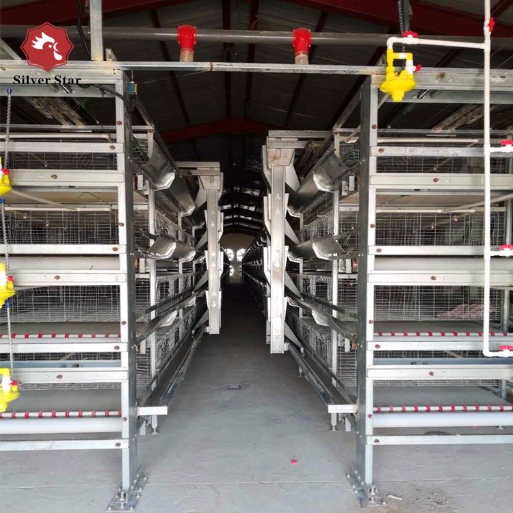 Automatic Chicken Broilers Cage System 4 Tiers 5 Tiers H Type Poultry Farm Shed