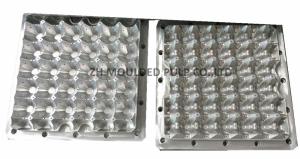 Quality Vacuum Aluminium Injection Moulding Material Thermoforming Egg Tray use wholesale