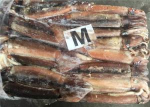 Quality 250g Fresh Frozen Squid wholesale