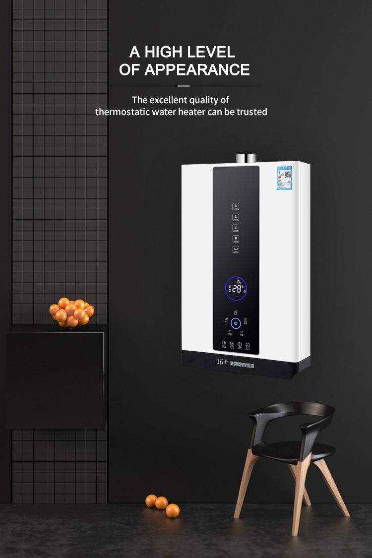 Natural LP Gas Tankless Water Heater Hot Water Boiler 16000W 10L-16L