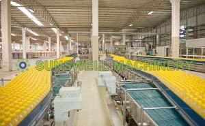 Quality 500ml Drink Juice Filling Machine Hot Filling With Watermelon wholesale