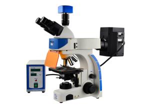 Quality Professional Trinocular Upright Fluorescence Microscope 100W Mercury Lamp wholesale