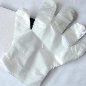 Quality Disposable Thin Plastic Gloves Clean Health Waterproof For Household wholesale