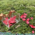 Clear Flower Girl Basket For Wedding - Acrylic Wedding Basket Decoration,