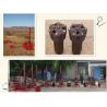 Buy cheap oil exploration drilling rig in Pakistan from wholesalers