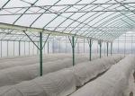 Irrigated Clear Cooling Poly Plastic Film Greenhouse