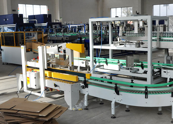 IP54 Automatic Drop Automatic Case Packer Machine Horizontal