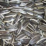 Handpicked Delicious Raw Sunflower Kernels Low Calorie 100% Green Foods