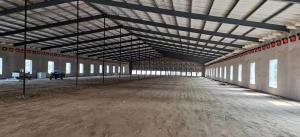 Quality Prefabricated Steel Structure Poultry House Q235B Q355B Steel Frame Chicken House wholesale