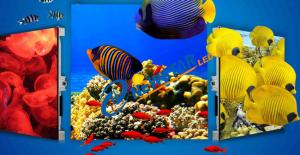 Quality Rgb SMD2727 1000cd/Sqm Stage Led Screen 250W for Advertising wholesale