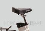 250W 24" Ladies Electric Urban Bike With Shimano Derailleur