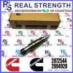 Common Rail Diesel Engine Fuel Injector 2031835 1933613 2872544