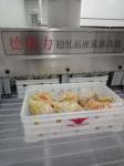 1200kg/H 1000kg/H Air Blast Ultra Low Chest Freezer Seafood Minus 120C