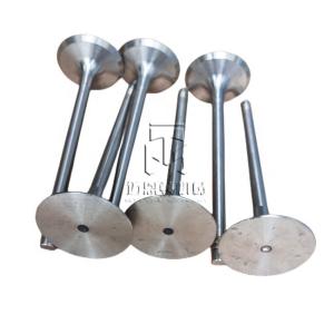 Quality Inlet Valve 04234952 04231979 04234951 4234952 4231979 4234951 0423 4952 0423 1979 0423 4951 Exhaust Valve 04159137 04153696 02232717 4159137 4153696 wholesale