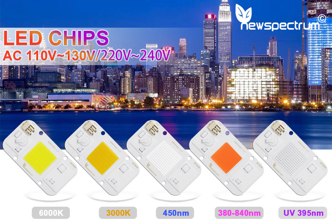 Solderless UV LED Module COB Cold White Light Beads For Floodlights