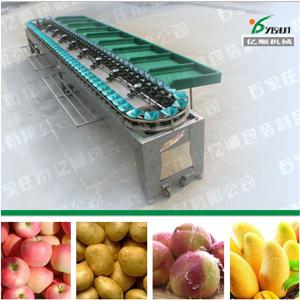 Quality Mango grading machine YSXD--66-8-86 wholesale