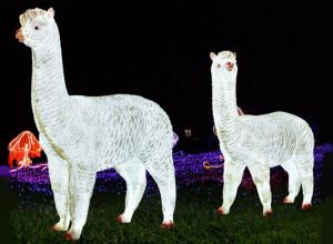 Quality LED simulation alpaca lamp outdoor landscape outdoor waterproof FRP animal lamp wholesale