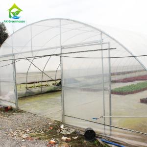 Quality Polycarbonate Poly Tunnel Greenhouse Edible Mushroom Industrial Hemp Greenhouse wholesale