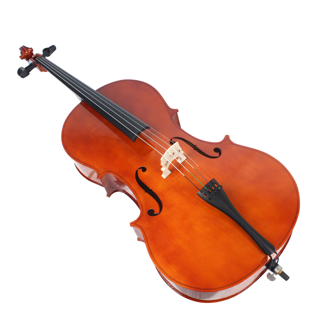 Spruce Top Flamed Chinese Maple Back Cello (CH200W) Both are soft wood that produces a soft, warm sound. constansa