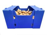 Plastic Turnover Box PP Corrugated Sheet Hollow Fruits And Vegetables Moving