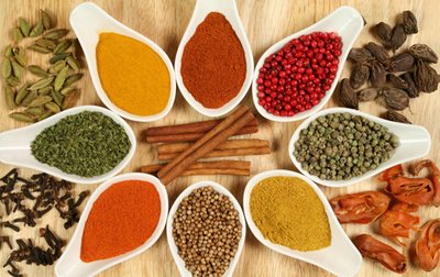 Chilli Powder Pulverizer Machine 1000 KG SUS304 Spice Grinder