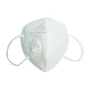 Quality Earloop KN95 Disposable Masks For Protection Against Virus Eco Friendly wholesale