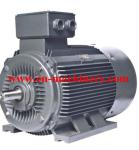 Induction Motor Ye3 Super High Efficiency Electric Motor construction Tools