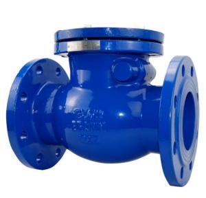 China Dn200 Pn16 Astm A351 Cf8m Female Npt Threaded Wcb Flanged End Check Valve on sale