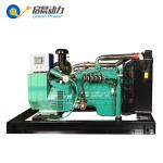 Natural Gas Biogas LPG Generator Price
