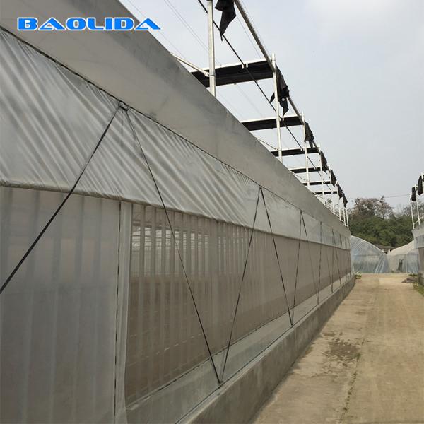 Cooling System Plastic Film200 Micron Reinforced Plastic Sheeting Greenhouse