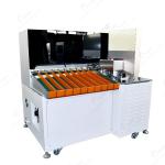 Cylinder Cell Automatic Battery Cell Sorting Machine 18650 Battery Production