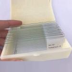 Medical Lab 12pcs Prepared Botany Slides On Plant Research