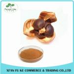 50 % - 98 % Tea Saponins Camellia Oleifera Seed Extract