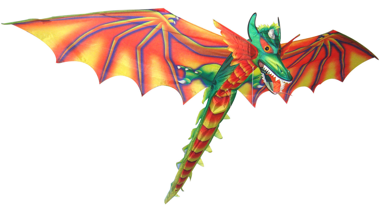 Easy Carry Polyester material 3D Eagle Kite , Single String Kite For Beginner Playing