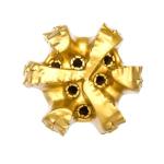 Water Well Drilling 4 Blades Reinforced Double Row Cutters Diamond Pdc Drill Bit