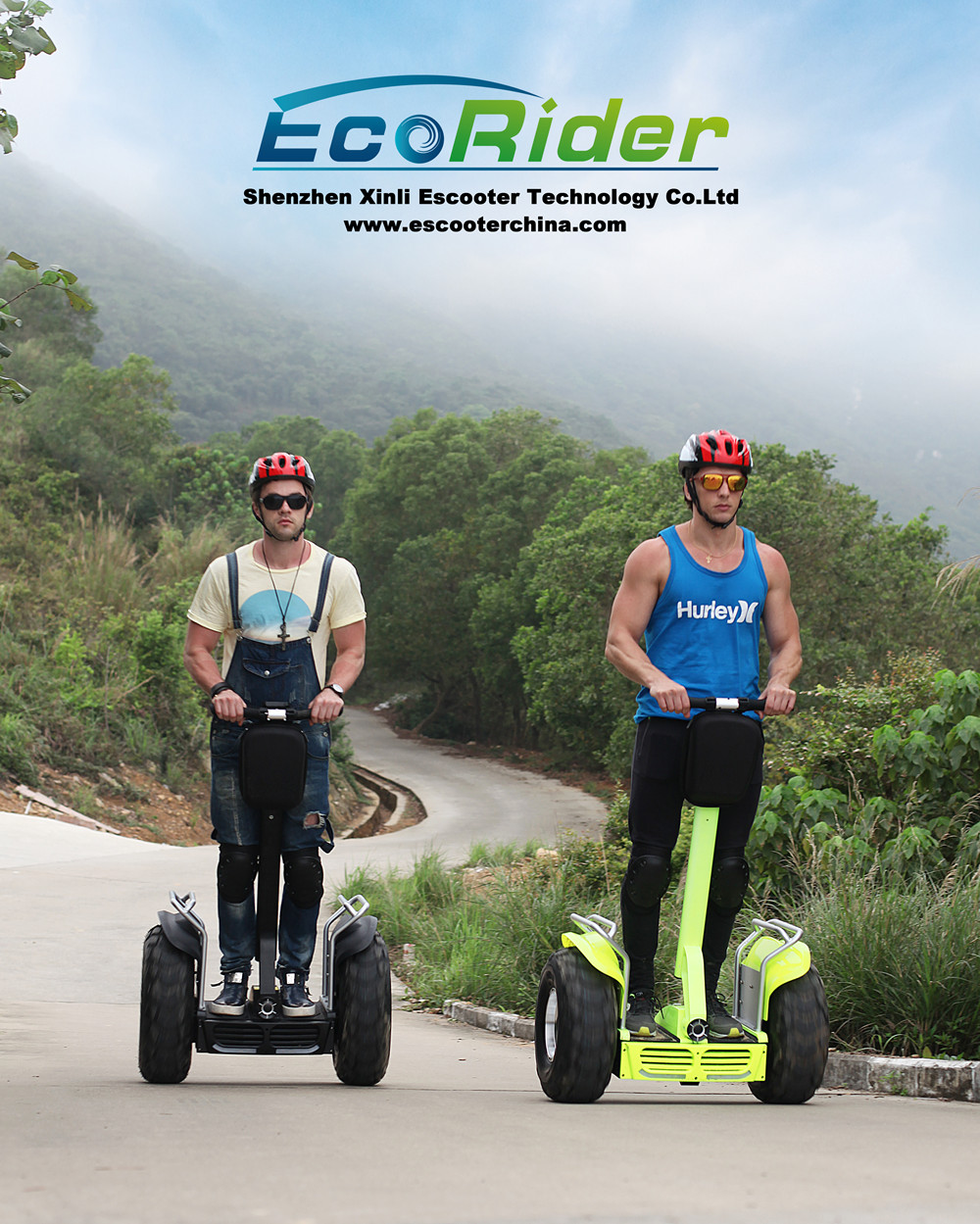 Audlt Off Road Two Wheels Self Balancing Electric Scooter Segway Type Multi Color
