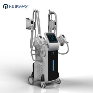 Quality 2018 newest freeze fat body slimming weight loss 4 handles cryolipolysis wholesale